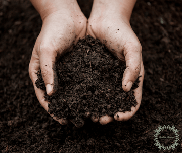 The Modern Reality of “Purity”