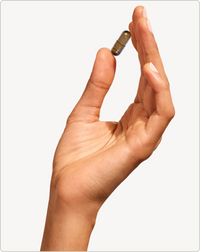 16-Day Para Cleanse – Wormwood, Black Walnut & Clove
